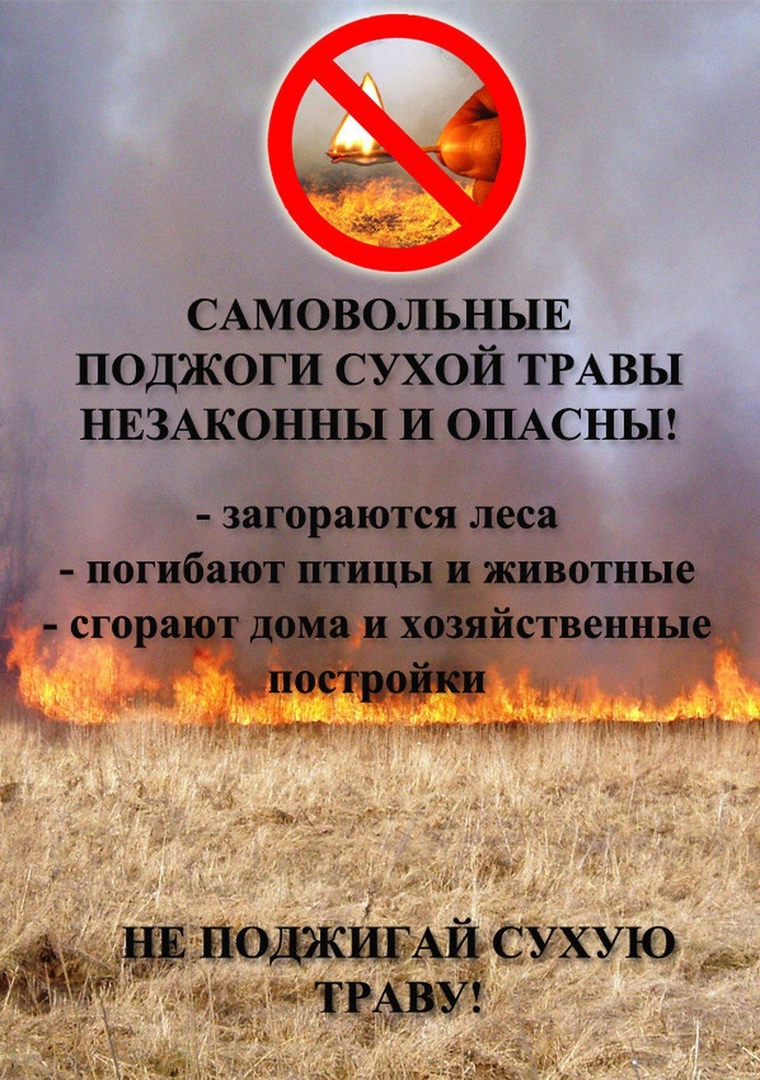 На территории Кировской области установлен пожароопасный период..