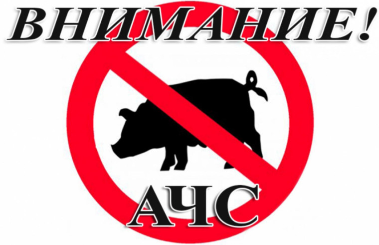 В Кировской области зарегистрирована АФРИКАНСКАЯ ЧУМА СВИНЕЙ. В Кировской области зарегистрирована АФРИКАНСКАЯ ЧУМА СВИНЕЙ.